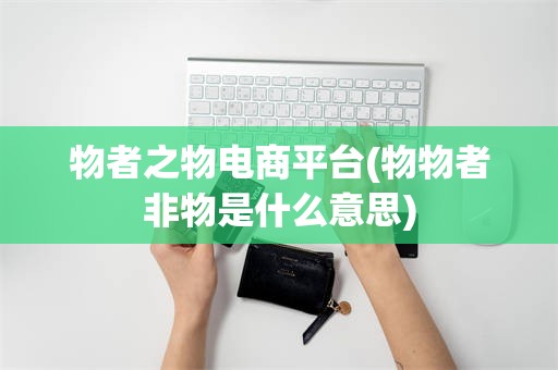 物者之物电商平台(物物者非物是什么意思)