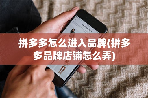 拼多多怎么进入品牌(拼多多品牌店铺怎么弄)