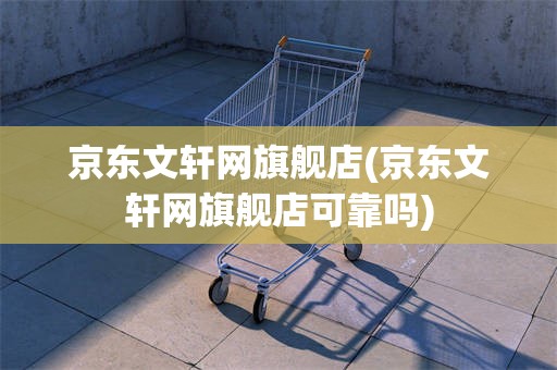 京东文轩网旗舰店(京东文轩网旗舰店可靠吗)