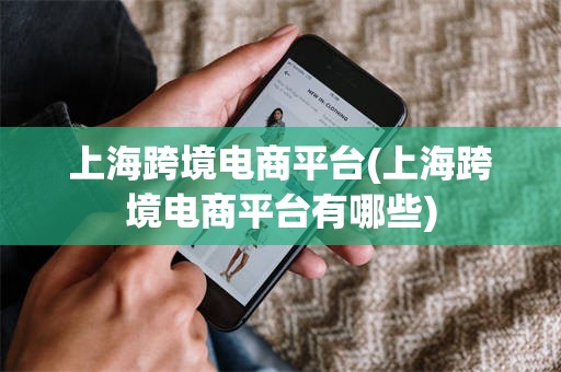 上海跨境电商平台(上海跨境电商平台有哪些)