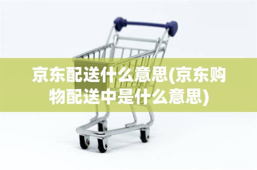 京东配送什么意思(京东购物配送中是什么意思)