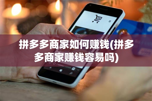 拼多多商家如何赚钱(拼多多商家赚钱容易吗)
