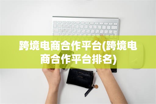 跨境电商合作平台(跨境电商合作平台排名)