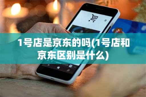 1号店是京东的吗(1号店和京东区别是什么)