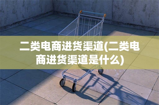 二类电商进货渠道(二类电商进货渠道是什么)