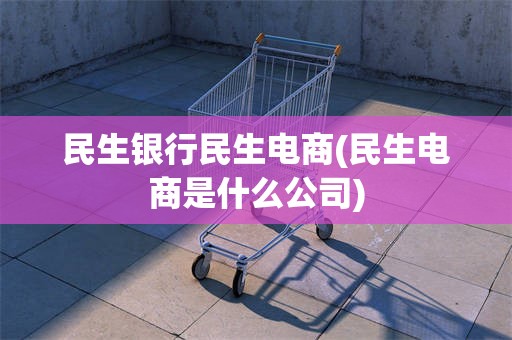 民生银行民生电商(民生电商是什么公司)