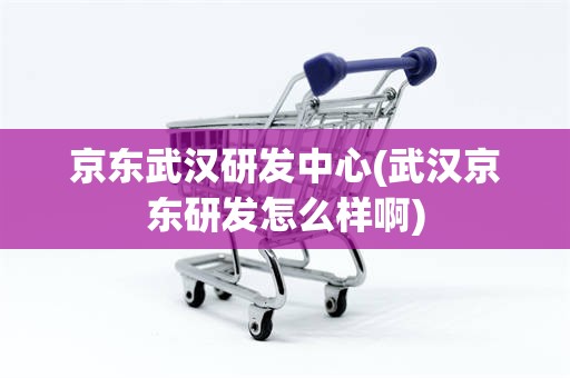 京东武汉研发中心(武汉京东研发怎么样啊)