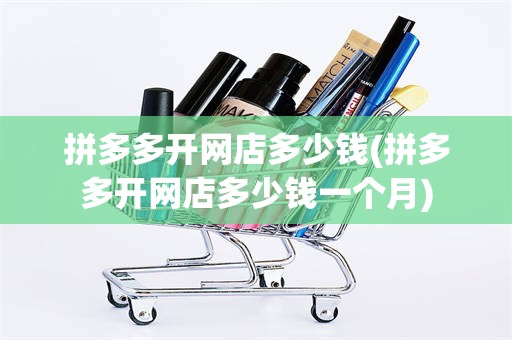 拼多多开网店多少钱(拼多多开网店多少钱一个月)