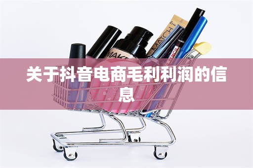 关于抖音电商毛利利润的信息