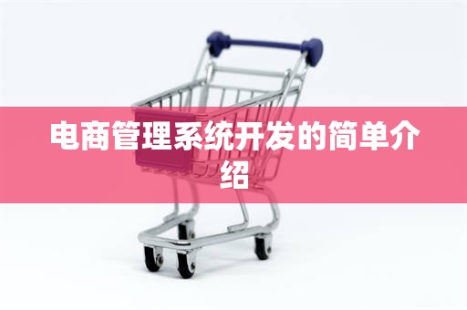 电商管理系统开发的简单介绍