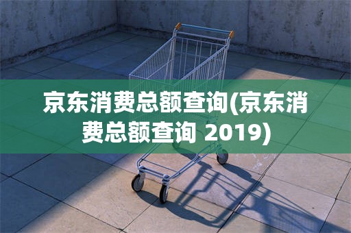 京东消费总额查询(京东消费总额查询 2019)