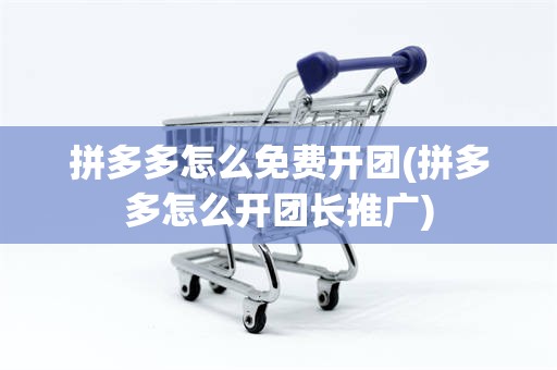 拼多多怎么免费开团(拼多多怎么开团长推广)