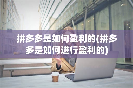 拼多多是如何盈利的(拼多多是如何进行盈利的)