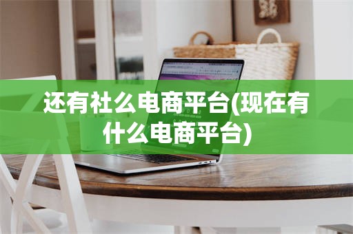还有社么电商平台(现在有什么电商平台)