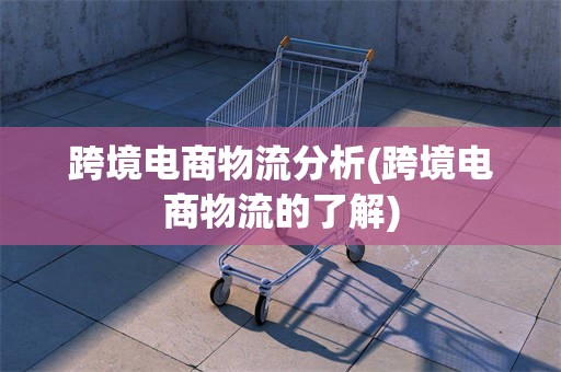 跨境电商物流分析(跨境电商物流的了解)