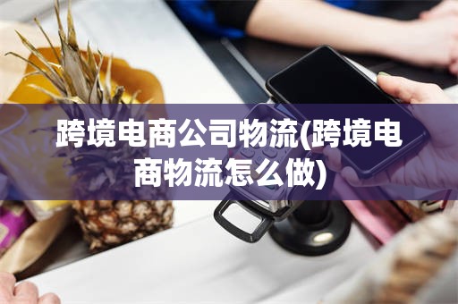 跨境电商公司物流(跨境电商物流怎么做)