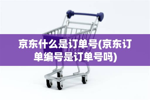 京东什么是订单号(京东订单编号是订单号吗)