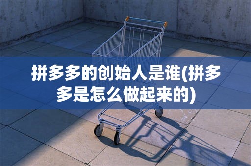 拼多多的创始人是谁(拼多多是怎么做起来的)