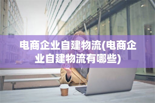 电商企业自建物流(电商企业自建物流有哪些)