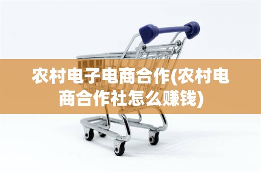 农村电子电商合作(农村电商合作社怎么赚钱)