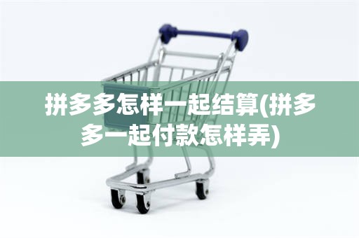 拼多多怎样一起结算(拼多多一起付款怎样弄)