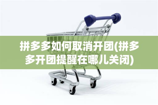 拼多多如何取消开团(拼多多开团提醒在哪儿关闭)