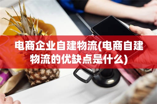 电商企业自建物流(电商自建物流的优缺点是什么)
