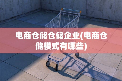 电商仓储仓储企业(电商仓储模式有哪些)