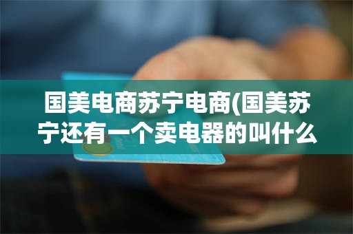 国美电商苏宁电商(国美苏宁还有一个卖电器的叫什么)
