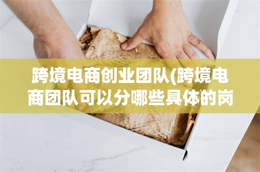 跨境电商创业团队(跨境电商团队可以分哪些具体的岗位)