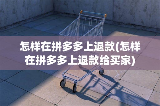 怎样在拼多多上退款(怎样在拼多多上退款给买家)