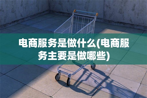 电商服务是做什么(电商服务主要是做哪些)