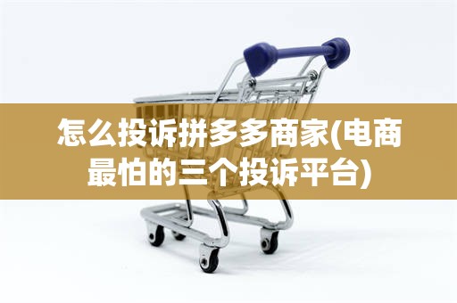 怎么投诉拼多多商家(电商最怕的三个投诉平台)