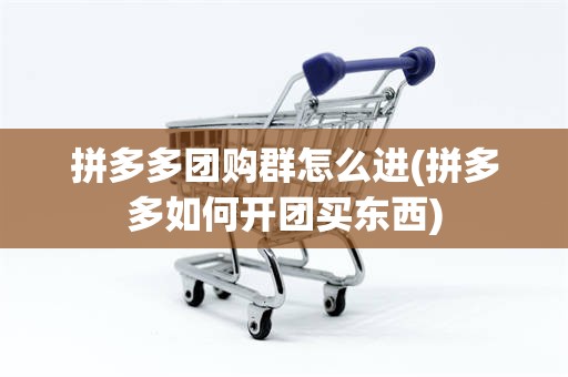 拼多多团购群怎么进(拼多多如何开团买东西)