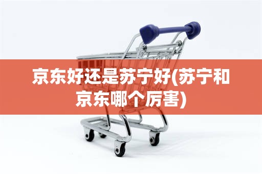 京东好还是苏宁好(苏宁和京东哪个厉害)