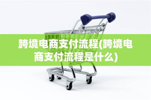 跨境电商支付流程(跨境电商支付流程是什么)