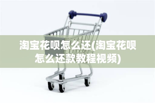 淘宝花呗怎么还(淘宝花呗怎么还款教程视频)