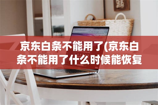 京东白条不能用了(京东白条不能用了什么时候能恢复)