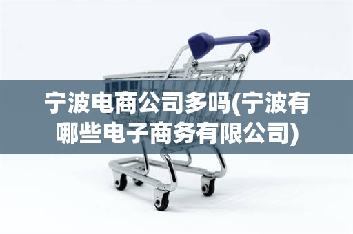 宁波电商公司多吗(宁波有哪些电子商务有限公司)