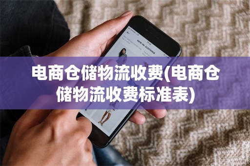 电商仓储物流收费(电商仓储物流收费标准表)