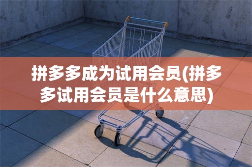 拼多多成为试用会员(拼多多试用会员是什么意思)