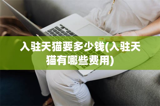 入驻天猫要多少钱(入驻天猫有哪些费用)