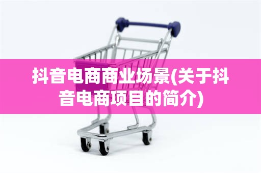 抖音电商商业场景(关于抖音电商项目的简介)
