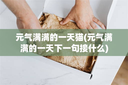 元气满满的一天猫(元气满满的一天下一句接什么)