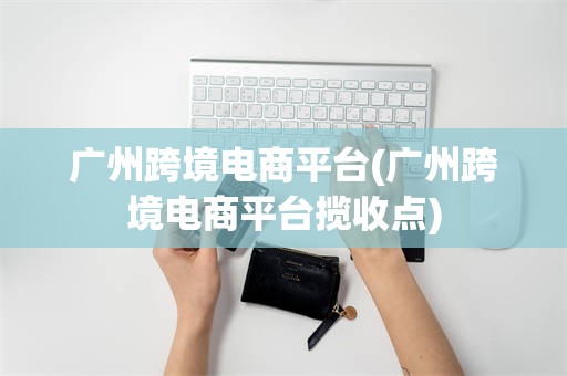 广州跨境电商平台(广州跨境电商平台揽收点)