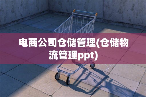 电商公司仓储管理(仓储物流管理ppt)