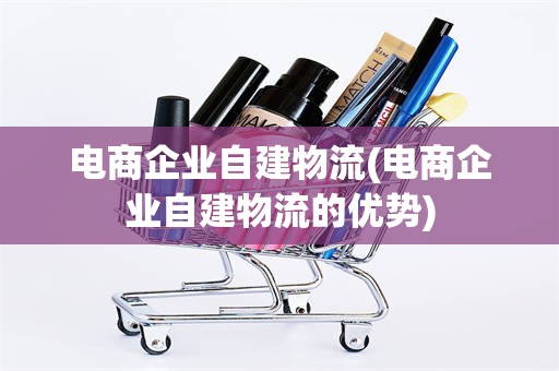 电商企业自建物流(电商企业自建物流的优势)