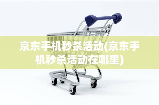 京东手机秒杀活动(京东手机秒杀活动在哪里)