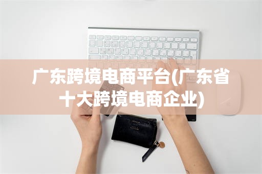 广东跨境电商平台(广东省十大跨境电商企业)