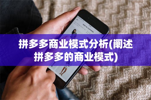 拼多多商业模式分析(阐述拼多多的商业模式)